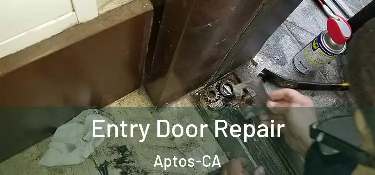  Entry Door Repair Aptos-CA