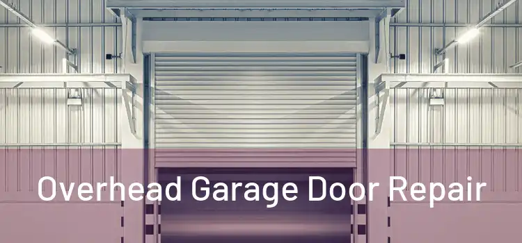  Overhead Garage Door Repair 